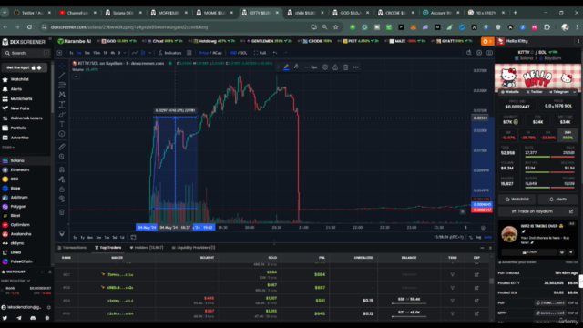 Memecoin Mastery : How To Trade Memecoin On Solana – Screenshot 4