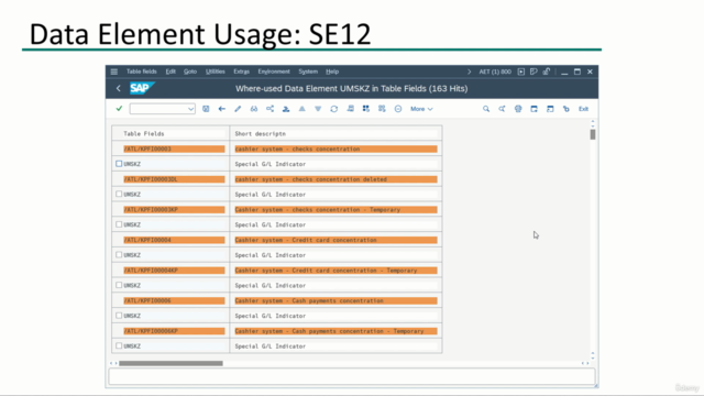 SAP Basics : Reporting Tools – Screenshot 3
