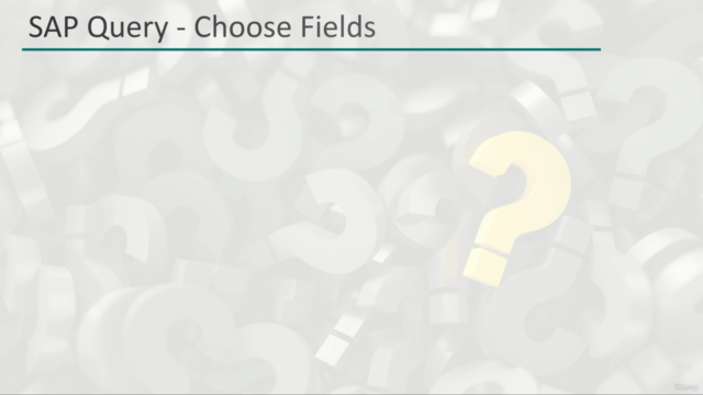 SAP Basics : SAP Query – Screenshot 1
