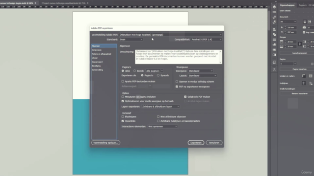 InDesign Quickstart: Maak je eigen drukwerk – Screenshot 4