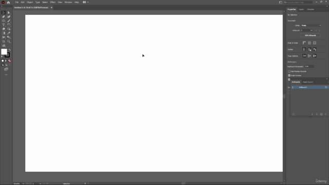 Adobe Illustrator CC - Beginners to Advanced Training Course – Screenshot 1