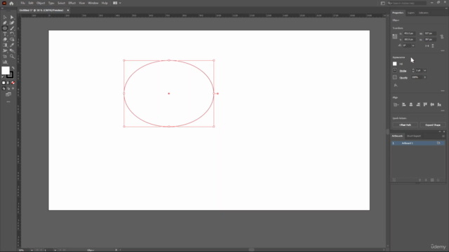 Adobe Illustrator CC - Beginners to Advanced Training Course – Screenshot 4