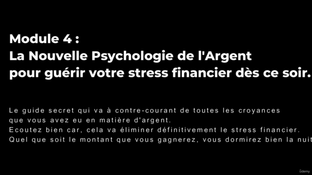 RĖUSSISSEZ VOTRE ANNÉE en 3 MOIS - Formation Complète (XXL) – Screenshot 3