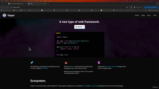 Learn Vapor Fundamentals in 1 Hour – Screenshot 1