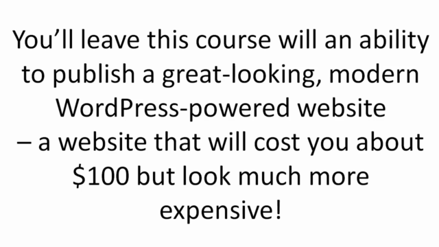 Build Your Own Pro-Quality WordPress Website – Screenshot 4