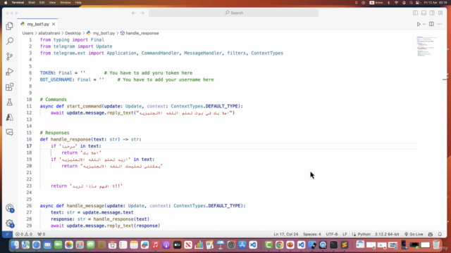 تطوير بوت على تيليجرام باستخدام لغة بايثون – Screenshot 3