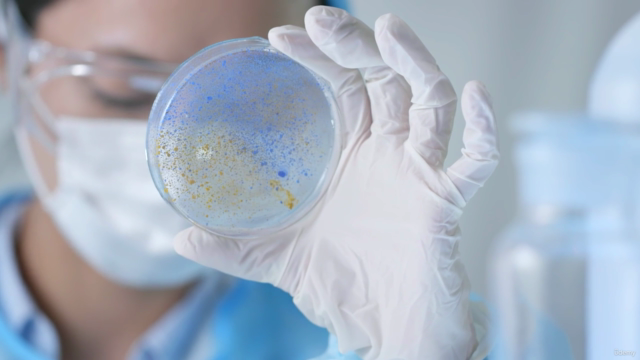 Infections and Inflammatory Diseases - High-Yield Conditions – Screenshot 4