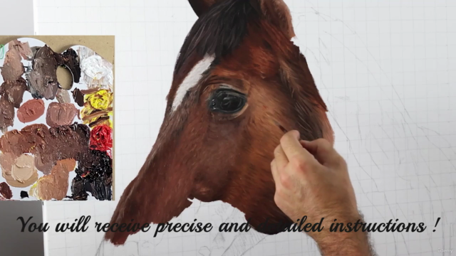 Learn how to paint a horse – Screenshot 3