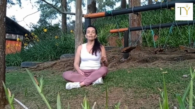 Yoga a Tiempo (Desinflama Adentro y Afuera) – Screenshot 3