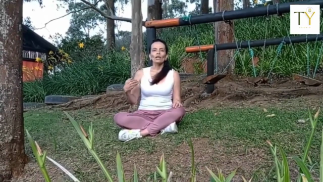 Yoga a Tiempo (Desinflama Adentro y Afuera) – Screenshot 4