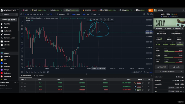 Complete Beginner’s Guide to Meme Coins: Buy, Trade, & HODL – Screenshot 2