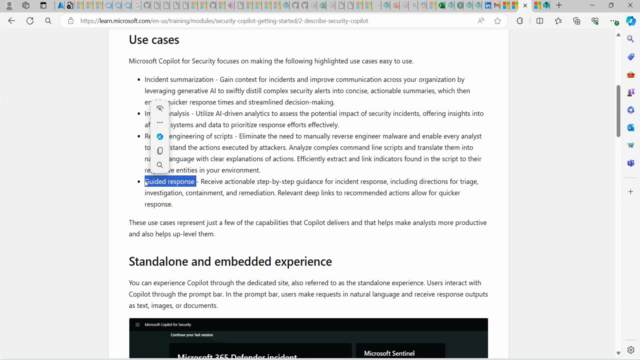Microsoft Copilot for Security – Screenshot 2