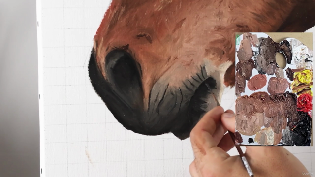 Comment peindre un cheval – Screenshot 2