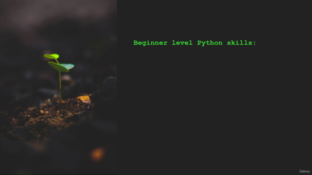 Python and ReportLab for Efficient Reporting and Automation – Screenshot 4
