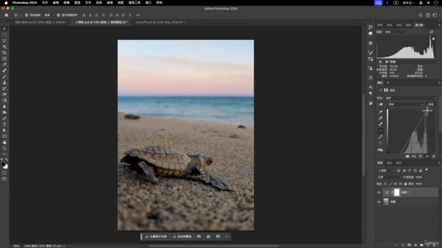 跟经本正一学 Photoshop,提升你的修图技能 – Screenshot 3