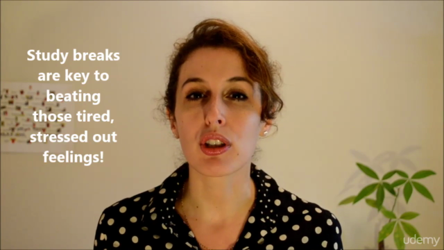 Better Studying with the Secret to Effective Study Breaks – Screenshot 4