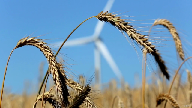 Transición y gestión energética: Impacto en cambio climático – Screenshot 4
