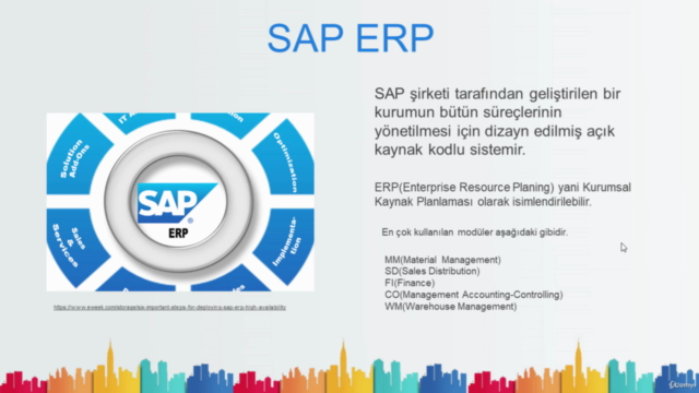 SAP ERP MM Module - Key User and Module Education Set – Screenshot 1