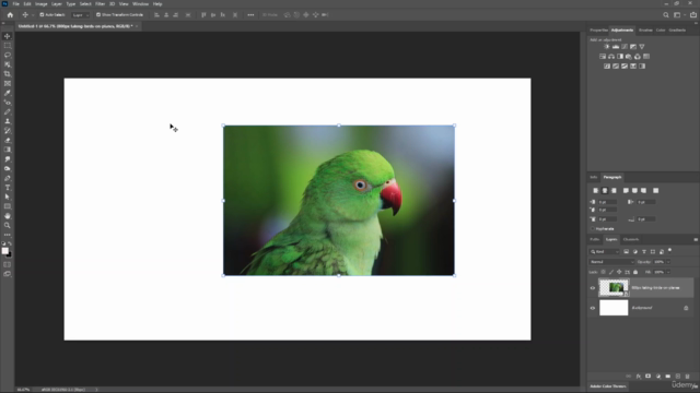Adobe Photoshop CC Complete Mastery Course Basic to Advanced – Screenshot 1