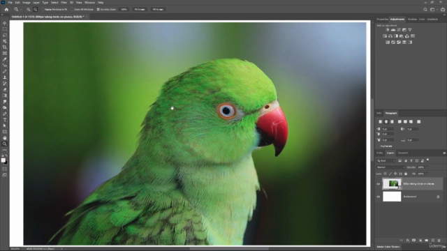 Adobe Photoshop CC Complete Mastery Course Basic to Advanced – Screenshot 2
