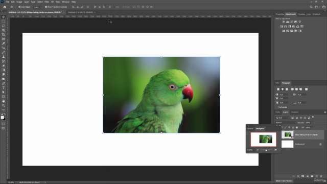 Adobe Photoshop CC Complete Mastery Course Basic to Advanced – Screenshot 4