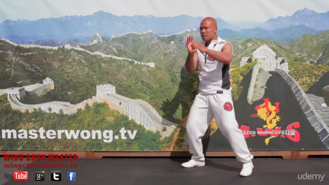 Wing Chun 116 Dummy Training – Screenshot 2