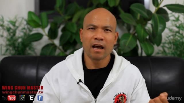 Wing Chun 116 Dummy Training – Screenshot 3