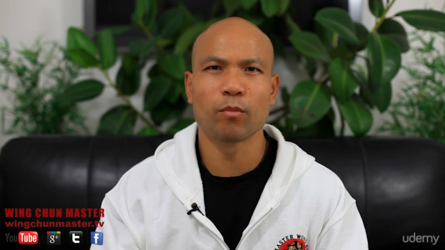 Wing Chun 116 Dummy Training – Screenshot 4