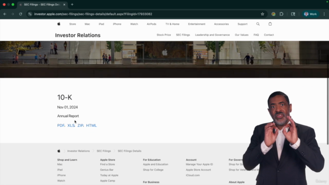 Forensic Financial Statement Analysis Using AI – Screenshot 1