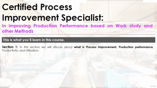 Certified Process Improvement Specialist – Screenshot 2