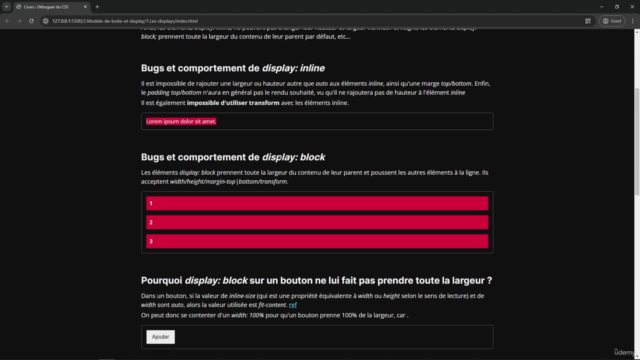 Les Secrets du Débogage CSS – Screenshot 1