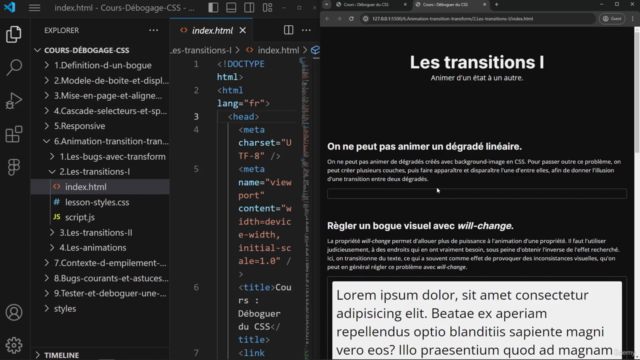 Les Secrets du Débogage CSS – Screenshot 4
