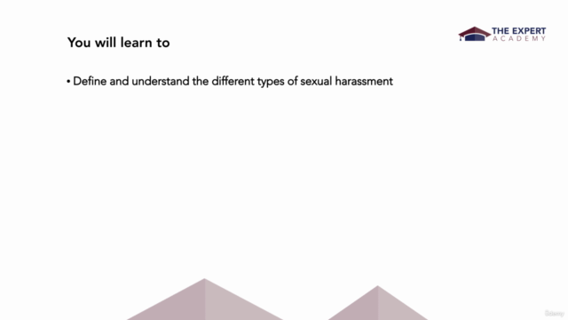 Sexual Harassment Prevention In The Workplace – Screenshot 2