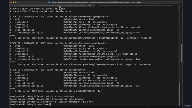 Debugging C/C++ Memory Issues on macOS – Screenshot 4
