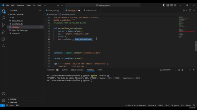 Base De Datos SQLite Desde Python + Proyectos Reales – Screenshot 2