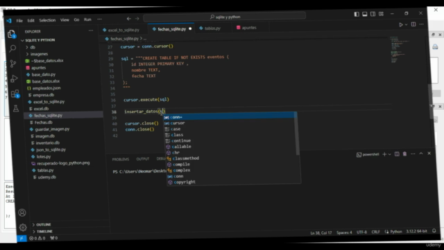 Base De Datos SQLite Desde Python + Proyectos Reales – Screenshot 4