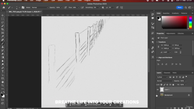 Adobe Photoshop CC: From Absolute Beginner To Advanced – Screenshot 3