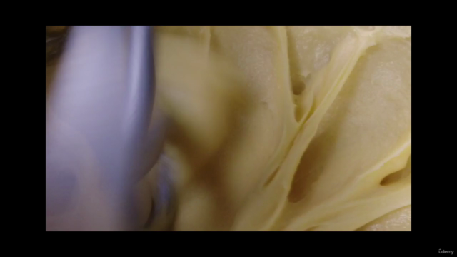The art of baking : the complete French Pastry Course – Screenshot 2