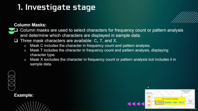 Mastering IBM Infosphere QualityStage – Screenshot 2
