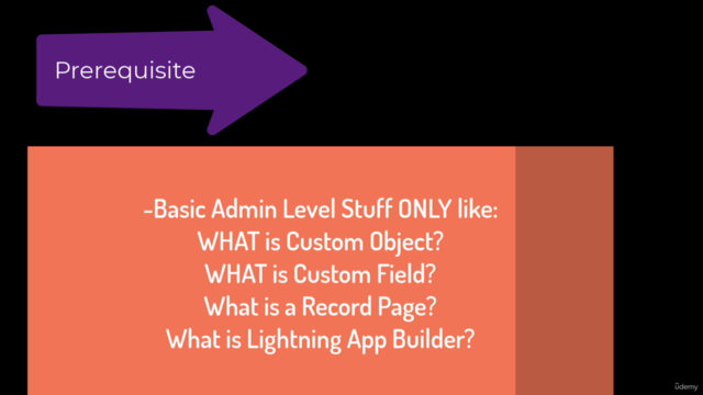 Salesforce Flow - Build Lightning Flows from Scratch – Screenshot 1