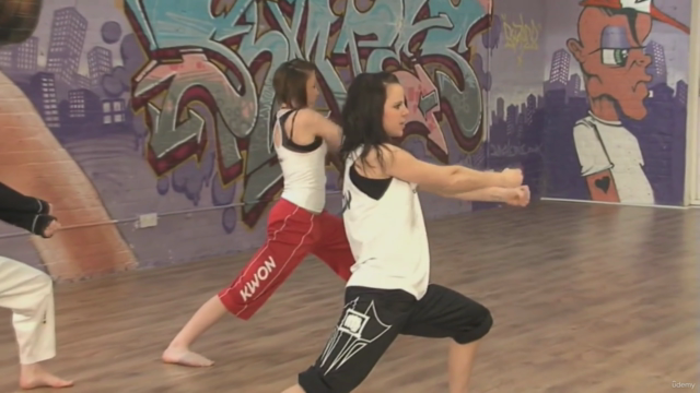 Extreme Martial Arts Avancé Vol.1 mains & jambes – Screenshot 3