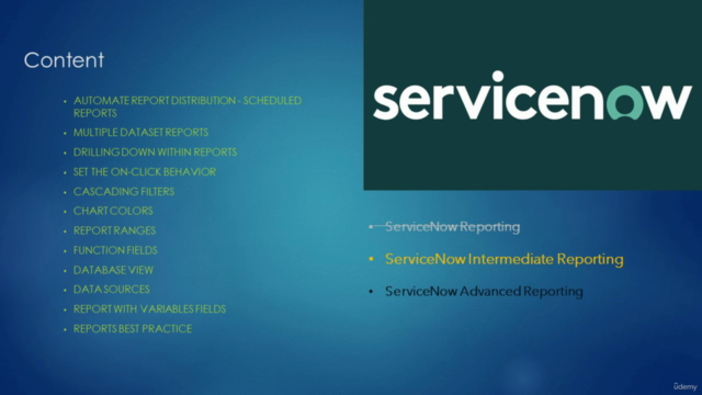 ServiceNow Intermediate Reporting – Screenshot 4