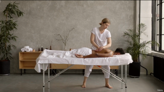 Cours de drainage lymphatique manuel – Screenshot 4