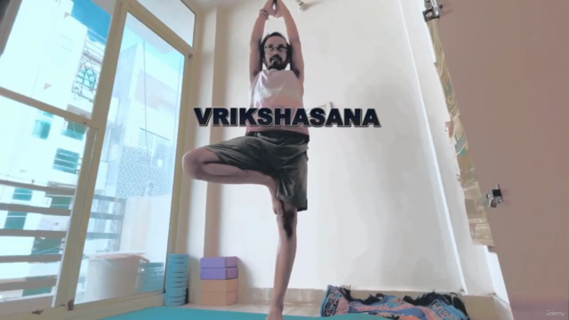 Ultimate Stretching: 100+ Poses for Posture & Flexibility – Screenshot 3