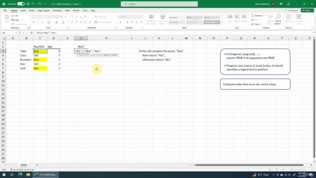 Microsoft Excel: Excel Beginner Basics, Formulas & Functions – Screenshot 4