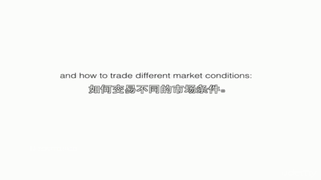 Introduction to Stock Market Trading and Investing - Chinese - Screenshot_03