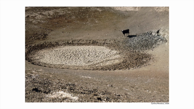 Dealing with Drought – Screenshot 1