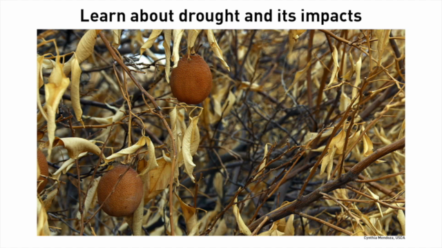 Dealing with Drought – Screenshot 4