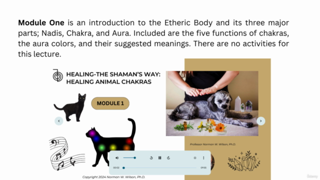HEALING- THE SHAMAN'S WAY: HEALING ANIMAL CHAKRAS – Screenshot 1