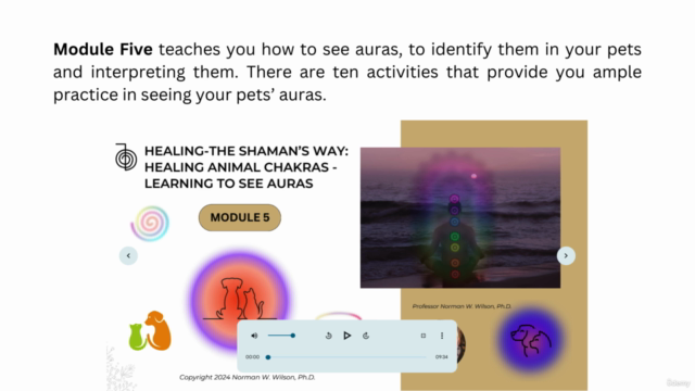 HEALING- THE SHAMAN'S WAY: HEALING ANIMAL CHAKRAS – Screenshot 4